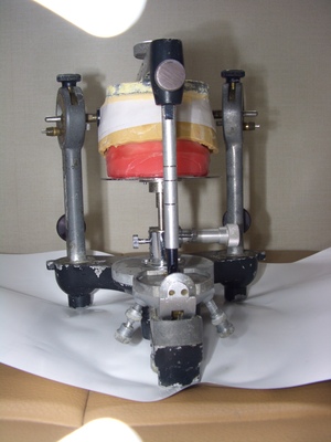 CIMG0917.JPG