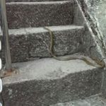 ゴールデンウィークに参拝